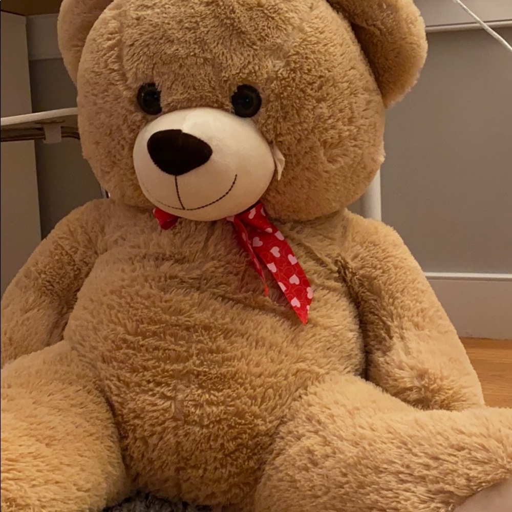 Big teddy bear